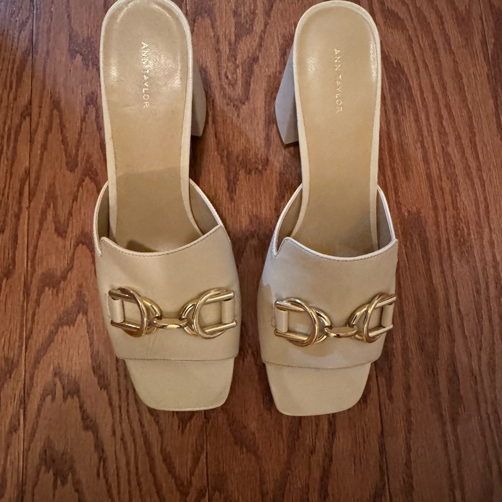 Ann Taylor Leather Block Heel Mules